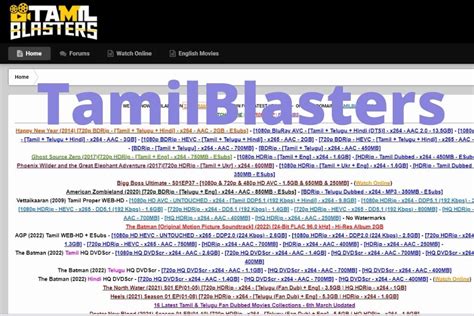 tamilblasters new domain 2024|tamilblasters+new+link+2022.